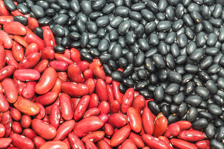 Black adzuki bean with red beanの写真素材
