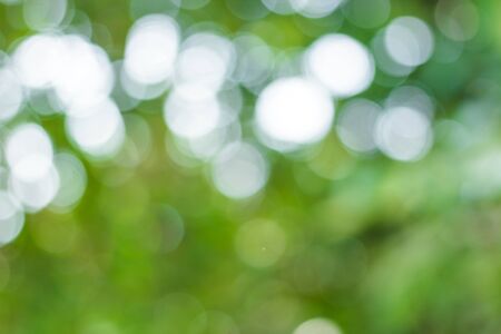 blur image of Abstract Bokeh of tree green color background.の写真素材