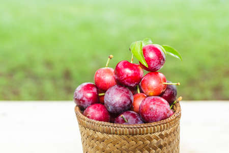 plums in the basketの写真素材