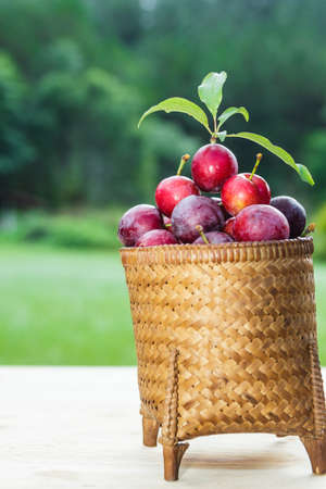 plums in the basketの写真素材