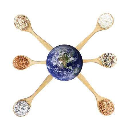 Thai rice serve the world.Elements of this image furnished by NASAの写真素材