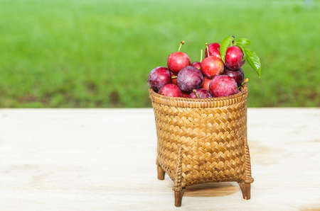 plums in the basketの写真素材