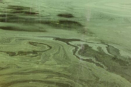 abstract green spawn on water