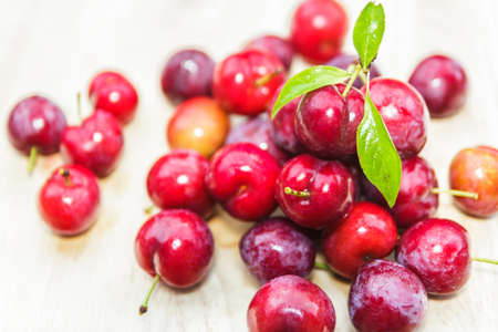 plums on woodenの写真素材