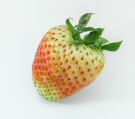 strawberryの写真素材