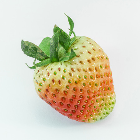 strawberryの写真素材