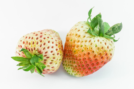 strawberryの写真素材