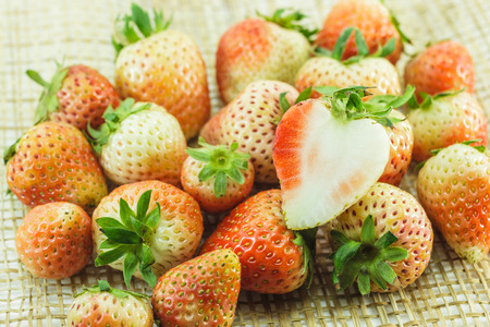 strawberryの写真素材