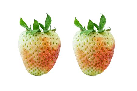 strawberryの写真素材