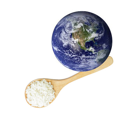 Thai rice serve the world.Elements of this image furnished by NASAの写真素材