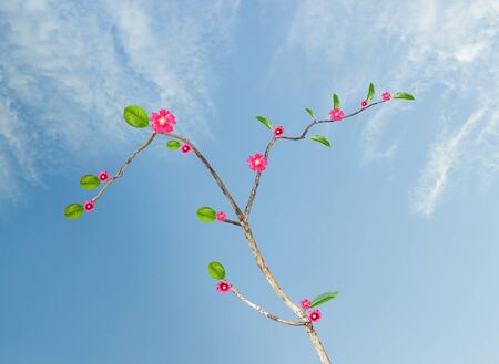 Tree and blue sky with cloudsの写真素材