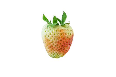 strawberryの写真素材