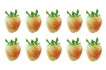 strawberryの写真素材