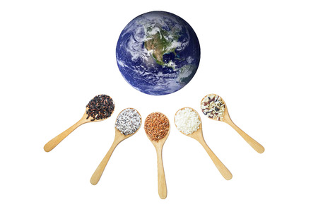 Thai rice serve the world.Elements of this image furnished by NASAの写真素材