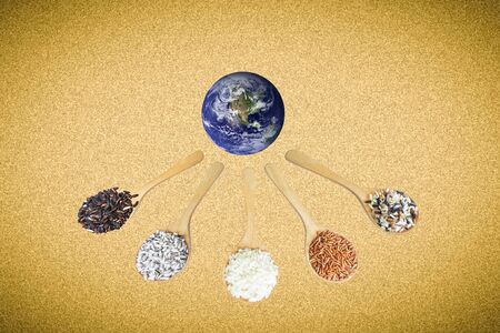 Thai rice serve the world.の写真素材
