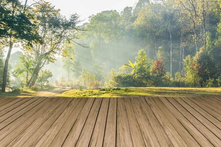 Empty wooden table with forest landscape with sun-rays thought fogの写真素材