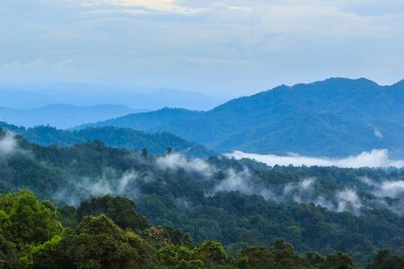 Fog mountain in Wiang Haeng, Chiang Mai, Thailand.