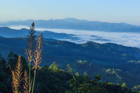 misty morning sunrise in mountain in Wiang Haeng ,chiang Mai , Thailand.の写真素材
