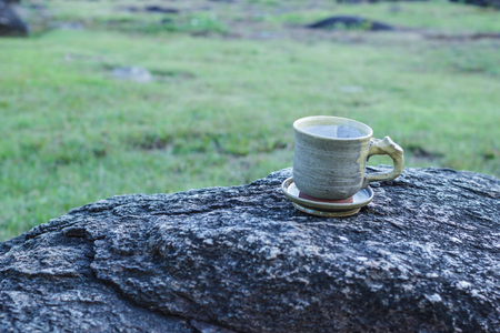 Cup with tea with sunlight. Beauty nature background.の写真素材