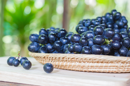 Black grapes on bamboo plateの写真素材