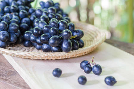 Black grapes on bamboo plateの写真素材
