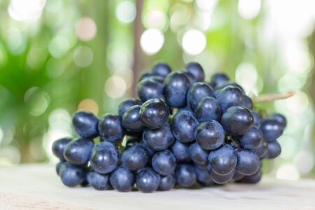 Black grapes on woodenの写真素材