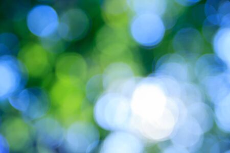 Sunny abstract green nature background, selective focus.の写真素材