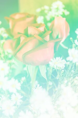 Abstract sweet fantasy flower with colourful filters in soft focus and blur style for backgroundの写真素材