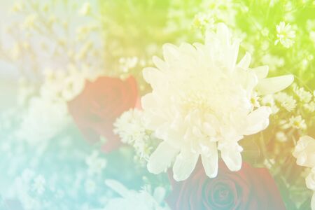 Abstract sweet fantasy flower with colourful filters in soft focus and blur style for backgroundの写真素材