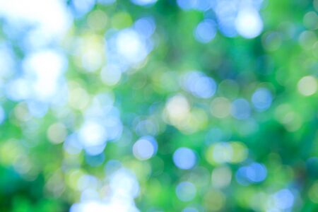 Sunny abstract green nature background, selective focus.の写真素材