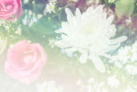Abstract sweet fantasy flower with colourful filters in soft focus and blur style for backgroundの写真素材
