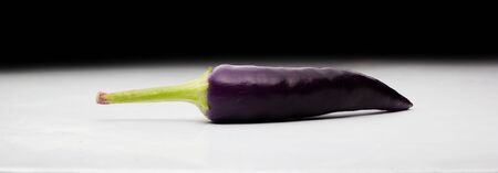 Ripening chili peppers. They are currently purple, but will eventually turn red and be very hot!の写真素材