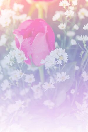 Abstract sweet fantasy flower with colourful filters in soft focus and blur style for backgroundの写真素材