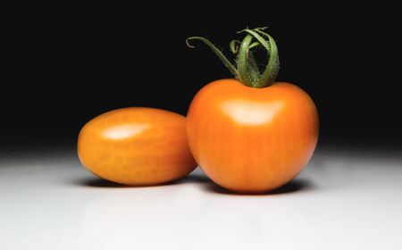 Homegrown Red Fresh Tomatoの写真素材