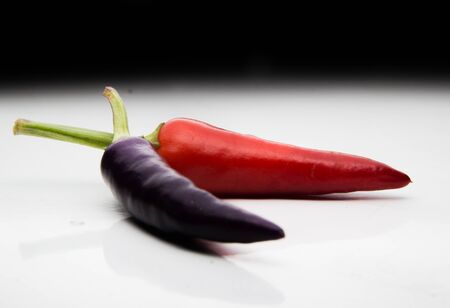 Ripening chili peppers. They are currently purple, but will eventually turn red and be very hot!の写真素材