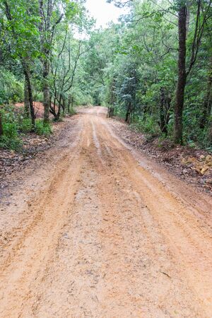 Tire tracks on a muddy road in the countryside.の写真素材