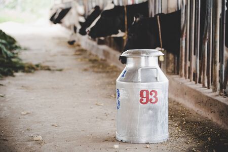 Close-up view on bucket milking cows at the animal barnの写真素材