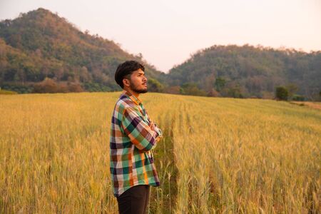 Young man farmer in scott shirt standing looking in a gold field of barley or wheat crops at sunset or sunriseの写真素材