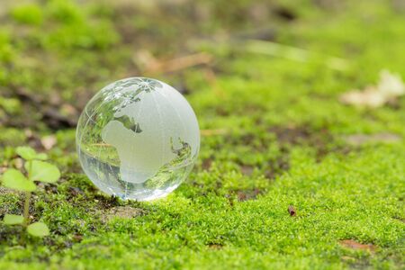 Close up of glass globe in the forest. Environment conservation concept.の写真素材