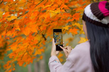 Young fashionable girl with mobile phone, camera and takeaway maple leaf in park in autumn. Trendy young woman in fall in park texting. Retouched, vibrant colors.の写真素材