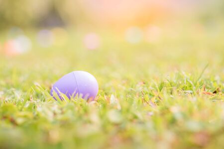 Easter eggs on grass, easter, holidays, tradition and object concept.の写真素材