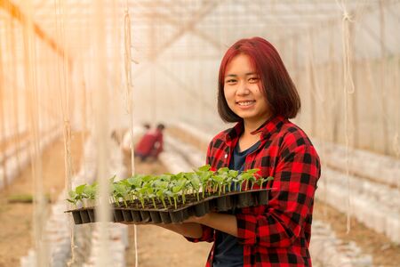 Happy Smiling Young Farmers Holding Beautiful Seedling in Melon Greenhouses