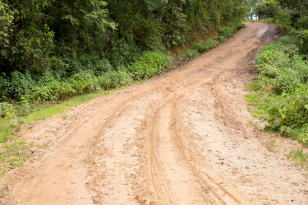 Muddy wet countryside road in Chiang Mai, northern of Thailand. track trail mud road in forest nature rural landscape. brown clay puddle way transport in countryの写真素材