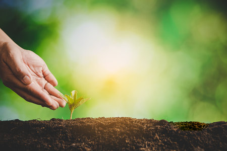 Dirty hands care plant trees in the earth on world environment day. Young small green new life...