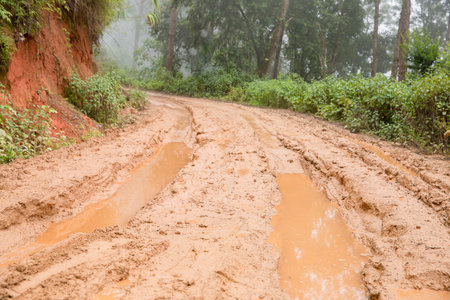 Muddy wet countryside road in Chiang Mai, northern of Thailand. track trail mud road in forest nature rural landscape. brown clay puddle way transport in countryの写真素材