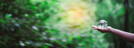 Human hand holding globe planet glass In green forest with bokeh nature lights. world environment day. concept of protect ecology earth and environmental eco-friendly life banner and copy spaceの写真素材