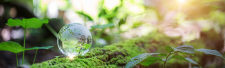 Globe planet glass in green forest with bokeh nature lights. world environment day. concept of...
