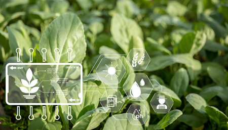 Agriculture technology farmer holding digital tablet or tablet technology to research about agriculture problems analysis data and visual icon. smart agriculture farmer using internet of thingsの写真素材