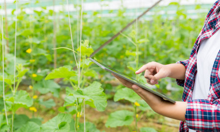 Internet of Things, IoT with Farming Smart concept. Agriculture and modern technology are used to manage crops. controlling the production to be effective to solve productive problems. business melon.の写真素材