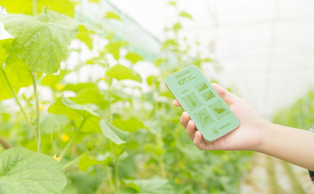 Internet of Things, IoT with Farming Smart concept. Agriculture and modern technology are used to manage crops. controlling the production to be effective to solve productive problems. business melon.の写真素材